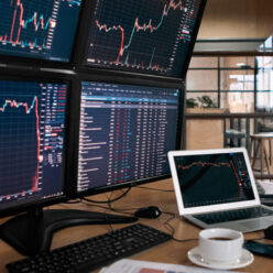 Charlie és Bruno  elemző blog